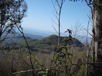 nte Cicirello-22042012 001